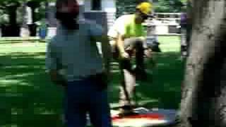 WI tree climbing championship work climb 2008 pt 2