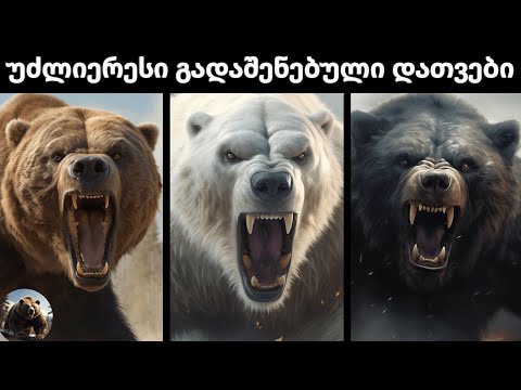 6 უძლიერესი გადაშენებული დათვის ჯიში ისტორიაში