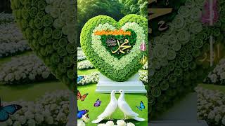 🤲 Quran pak ki surat ❤ surat  kul auzu rubel falak aur tarjuma ke sath 🤲🤲🤲