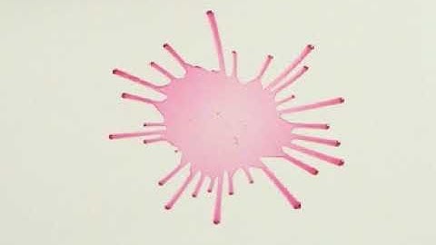 FLUID MECHANICS :fluid kinematics video mpeg1 small