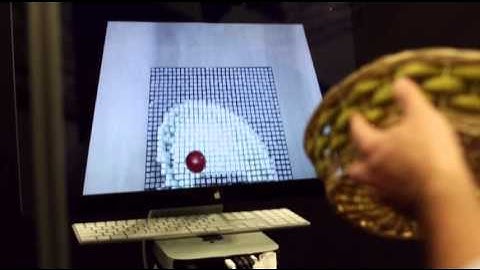 Tech Invention Allows Remote "Touching"