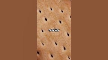 The 5 Second Rule: Myth Busted!