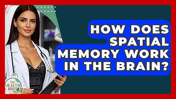 How Does Spatial Memory Work In The Brain? - The Health Brief