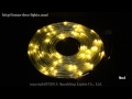 LEDイルミネーション、チューブストリング、コントローラ付、10m(連結可)電球色(イエローゴールド)