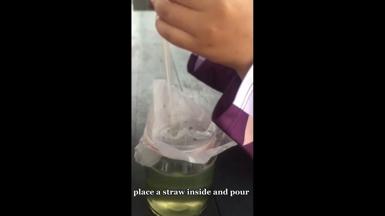 Experiment 2 Papa’mint Mosquito Repellent (UPM) YouTube