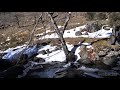 痛みを癒し、魂と身体を癒す天体音楽を癒すためのフルート