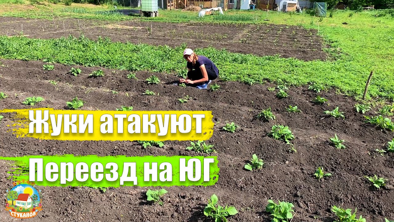 Хутор Стуканов Новые Серии 2022 Год
