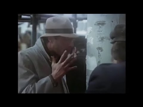 \"ნეილონის ნაძვის ხე\" - \"იმდენია დამნაშვე, ყველა მართალია\"