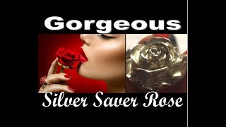 The BEARs Silver Art: The Silver Saver Rose