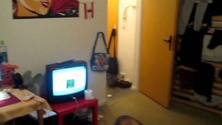 Hausbesuch bei Anita 2.0
Hausbesuch bei Anita 2.0
Mein zweiter Hausbesuch bei Anita in ihrer neuen Wohnung.
Achtet besonders auf die kleine, niedliche Katze. Der Rest der Wohnung ist nicht so interessant^^ Hausbesuch bei Anita 2.0