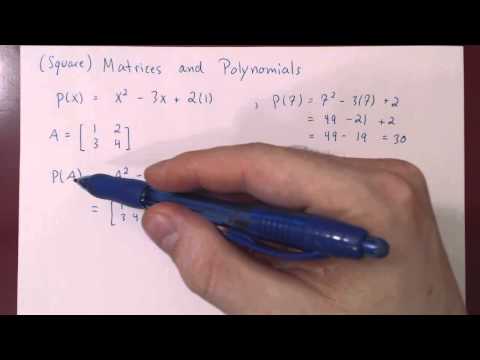Matrices and Polynomials