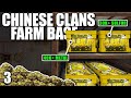I online raided a chinese clans farm base full of sulfur  solo rust