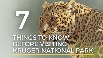Kruger National Park - 7 Things you need to Know before Visiting the Kruger National Park!