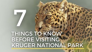 Kruger National Park - 7 Things you need to Know before Visiting the Kruger National Park!