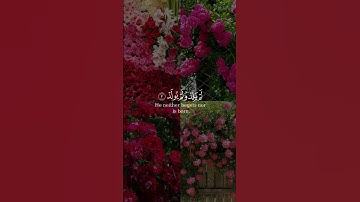 سورة الإخلاص بصوت الشيخ رعد الكردي