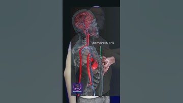 CPR Procedure #shorts #education