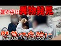耳の中に異物が‼️病院で取ってもらいました