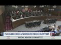 Tennessee House Democrats removed from committees