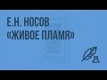 Е.Н. Носов «Живое пламя». Видеоурок по литературе 7 класс