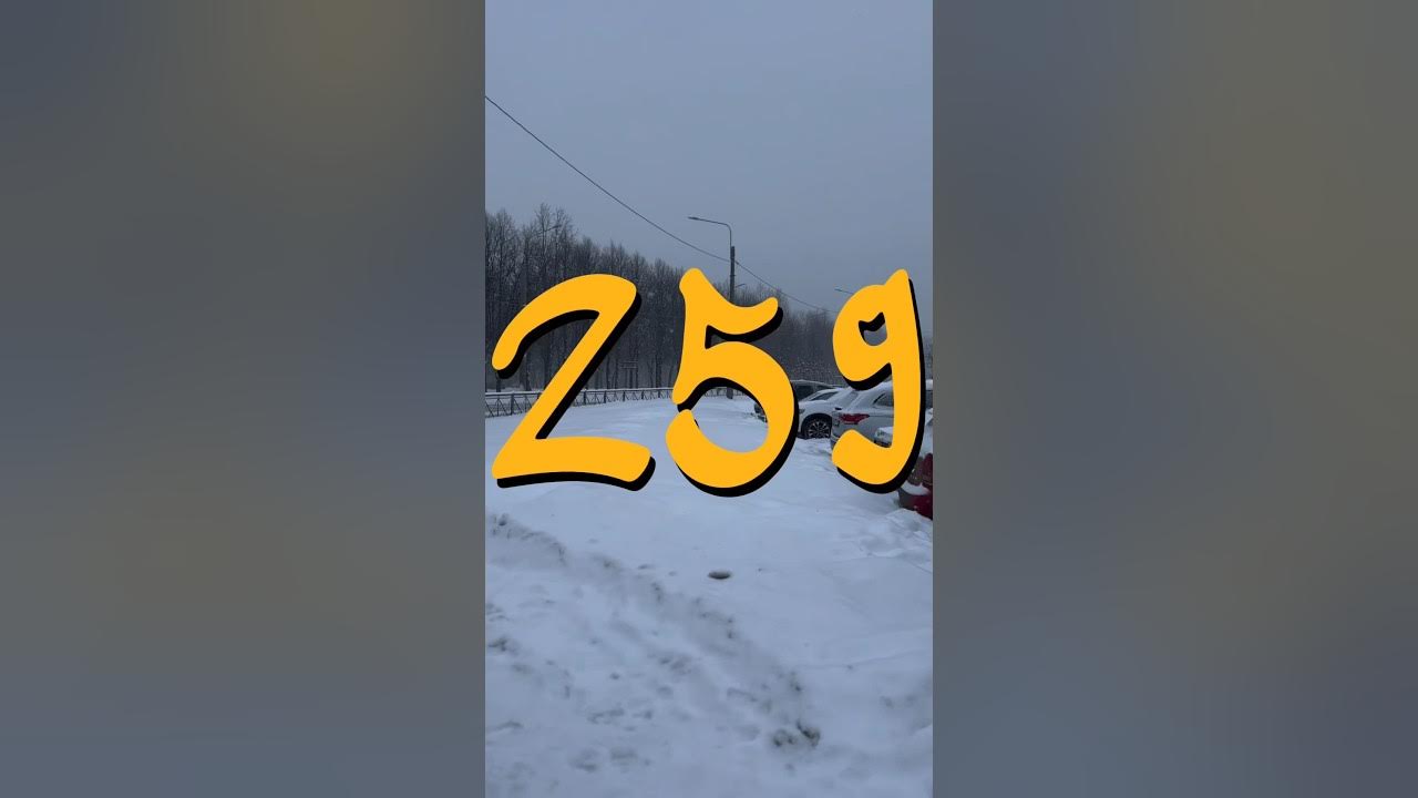 Как считается род. Л. Русские писатели эмигранты и их произведения. 259 дней. 259 дней.
