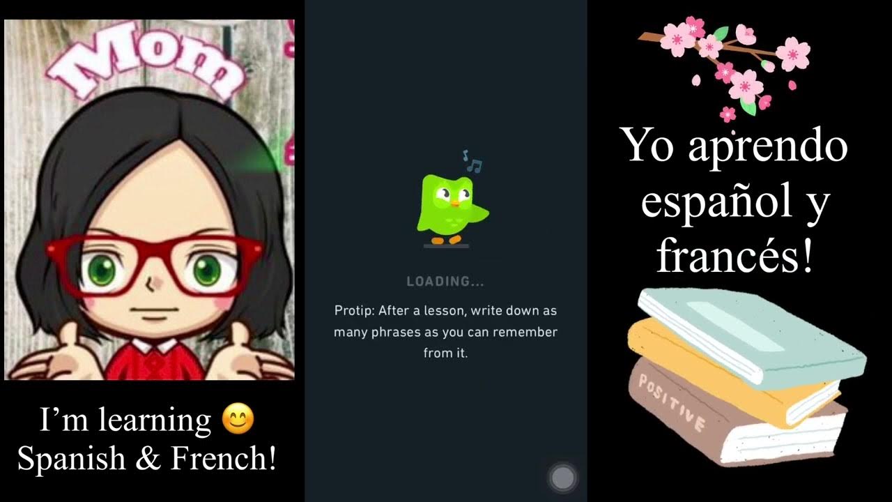 400 days in Duolingo Yo aprendo español y frances J’apprends l’espagnol et le français YouTube