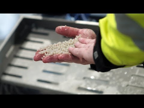 Video: 5 Berømte Skjønnheter Som Vansiret Seg Med Plast