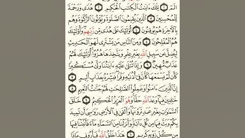 ماهر المعيقلي سورة لقمان مكتوبة صفحة 411 مصحف المدينة المنورة جودة عالية