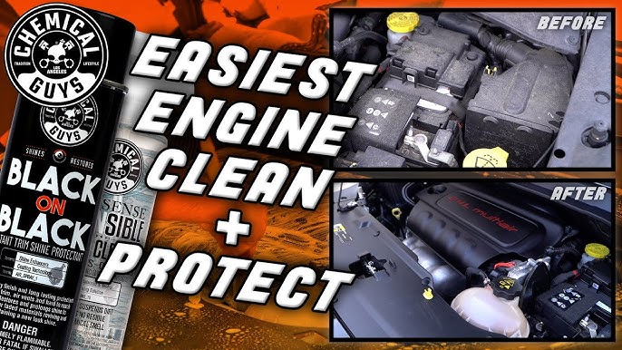 8 Steps to Clean That Engine Bay, Articles