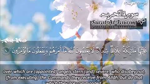الشيخ ماهر المعيقلي سورة التحريم - جودة عالية | Maher Almuaiqly Surat At-Tahrim - High Quality
