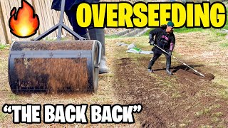 OVERSEEDING THE BACK BACK! Using 