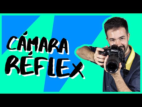 Vídeo: Què és un reflex?