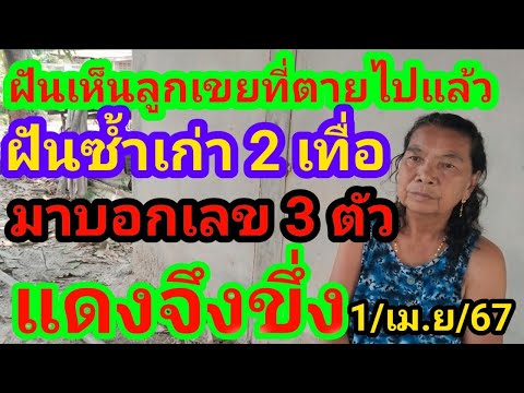 ฝันเห็นลูกเขยตายไปแล้วฝันซ้ำเก่า 2 เทื่อ