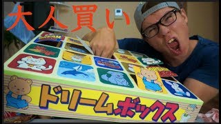 駄菓子屋にあるボックス箱買いしたホイ!!【ドリームボックス】　PDS