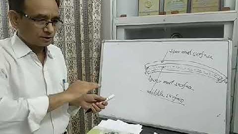 B.Sc. I Physics I Lect. 4  Bending of beam 1st Part