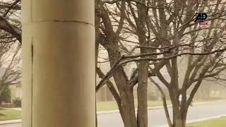 Dust storm engulfs Texas town of Amarillo