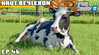 WE'VE GOT COWS! | Farming Simulator 22 - Haut-Beyleron | Episode 46