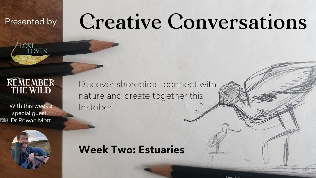 Inktober Creative Conversations: Shorebirds and Estuaries Wk2 With special guest Dr Rowan Mott