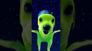 Інопланетний пес 👽￼￼