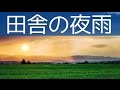 【癒しの自然音】すずむしと雨の音！読書 睡眠 瞑想用 作業用bgm