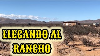 🌵Llegando al RANCHO‼️trayendo MATERIAL✅revisando las PLANTAS