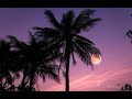 Sunflower RpostScloud ANBINHCITY Iburr Sunflower RpostScloud ANBINHCITY Iburr