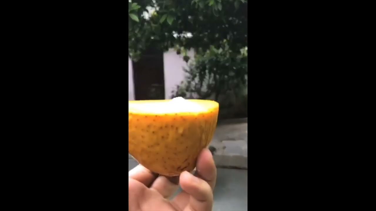 नहीं चलेगा बहाना ये mango malai जरूर खाना! | Quick Mango Recipe #Shorts #YouTubeShorts #Mango #Malai