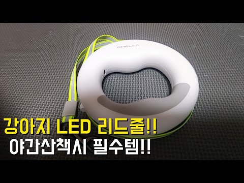 강아지 LED 리드줄 후기! 야간 산책시 유용해요!