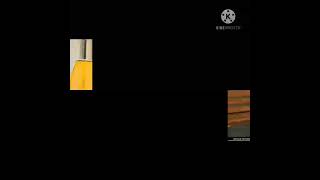 Sardha Arya Vs Anjum Faikh