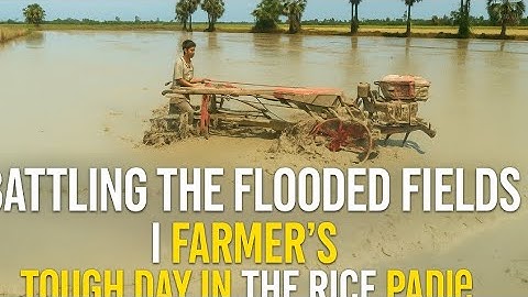 🚜 Battling the Flooded Fields | Farmer’s Tough Day in the Rice Paddies 🌾