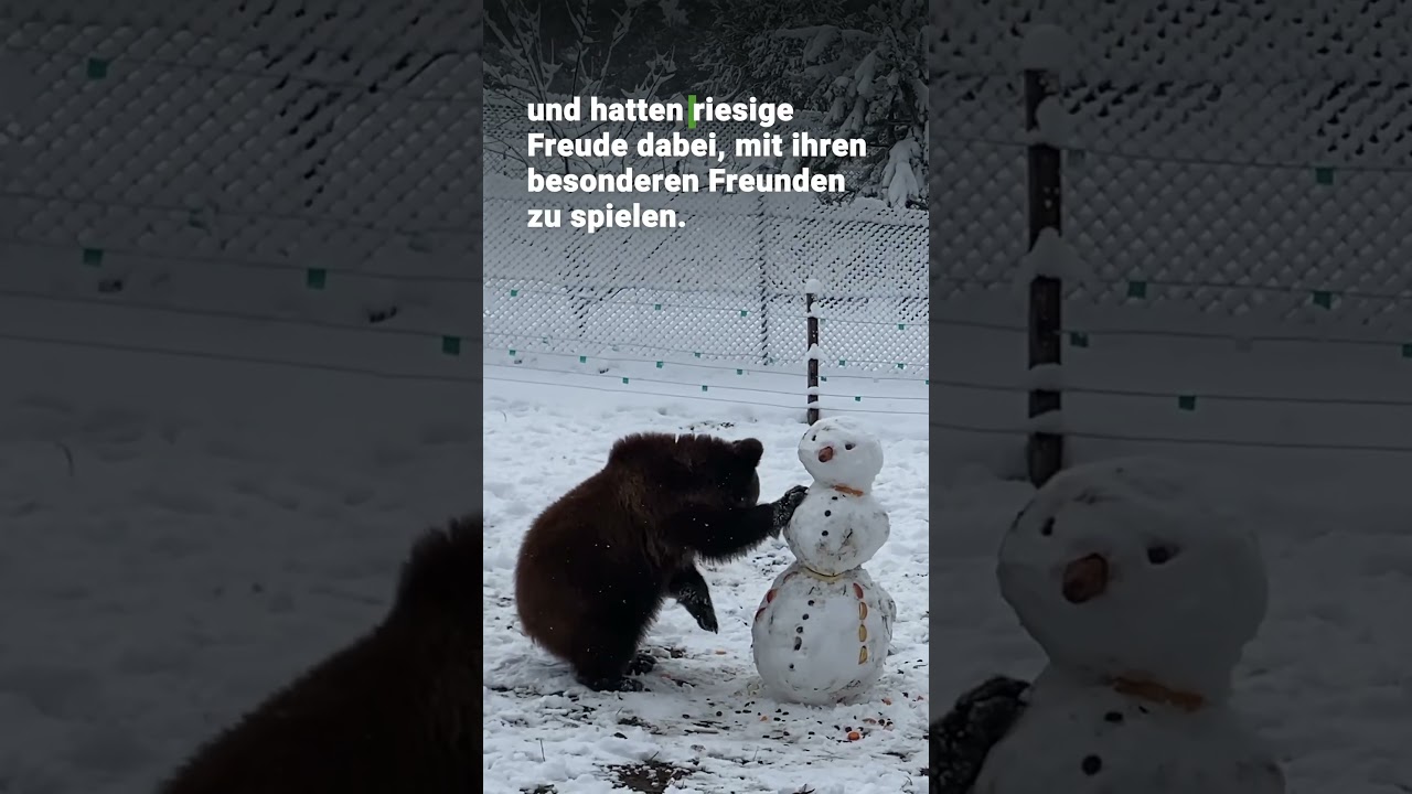 Runa & Kodis Winterabenteuer | VIER PFOTEN