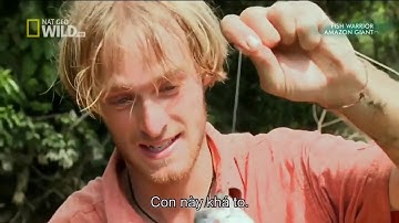 Săn cá Hải Tượng Long ở Amazon - Catch Giant Fish at Amazon