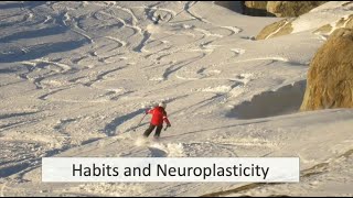 Mind Optimization 25/26: The Power of Habits & Snow