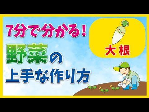 野菜の上手なつくり方【大根】