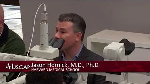 USCAP: Jason Hornick's Deep Soft Tissue Tumors, Sp...